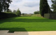 A new Domestic Lawn - Humberston Avenue, Grimsby. After first cut 6 weeks from seeding date