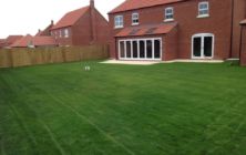 First cut on a new seeded lawn area at
