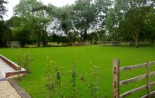 June 2012, A seeded lawn for a new build home at Market Rasen, 3 weeks from seeding date and already well established