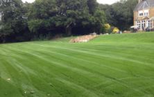 Walesby Lincolnshire. First cut on a newly seeded lawn area, old moss infested lawns were cultivated up and levelled. Photo taken 5 weeks from seeding date